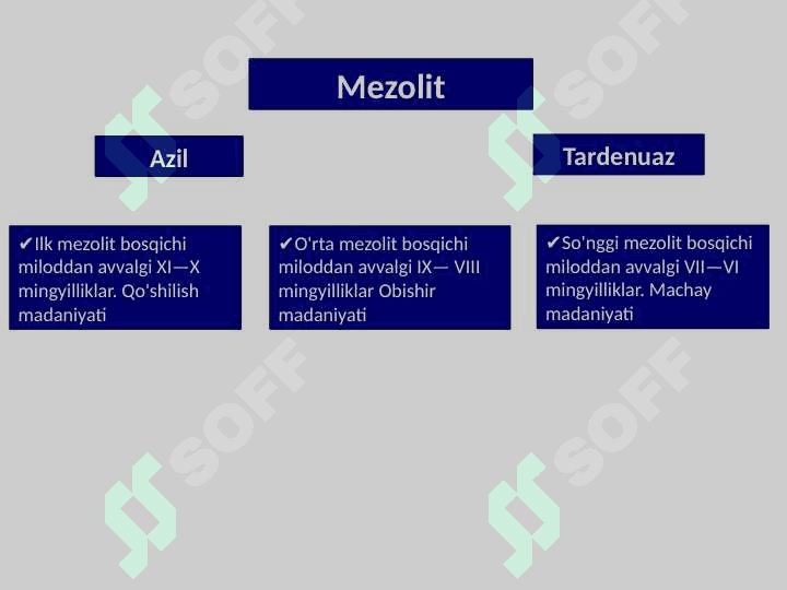 Mezolit davri yodgorliklari 3