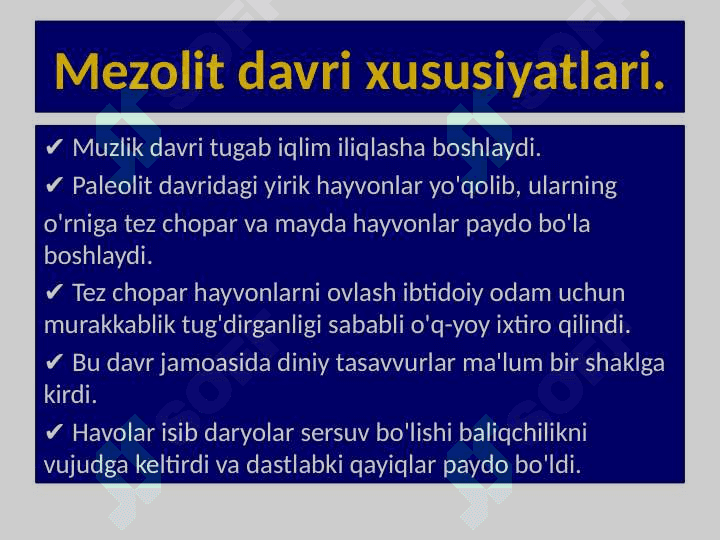 Mezolit davri yodgorliklari 4