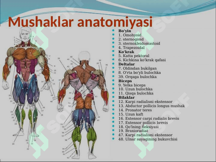 Baland va past turnikda tortinish mashqlarini bajarish 4