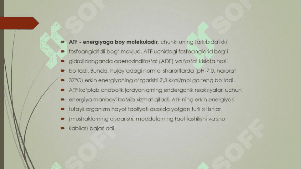 Energiya almashinuvining boshqarilishi 4
