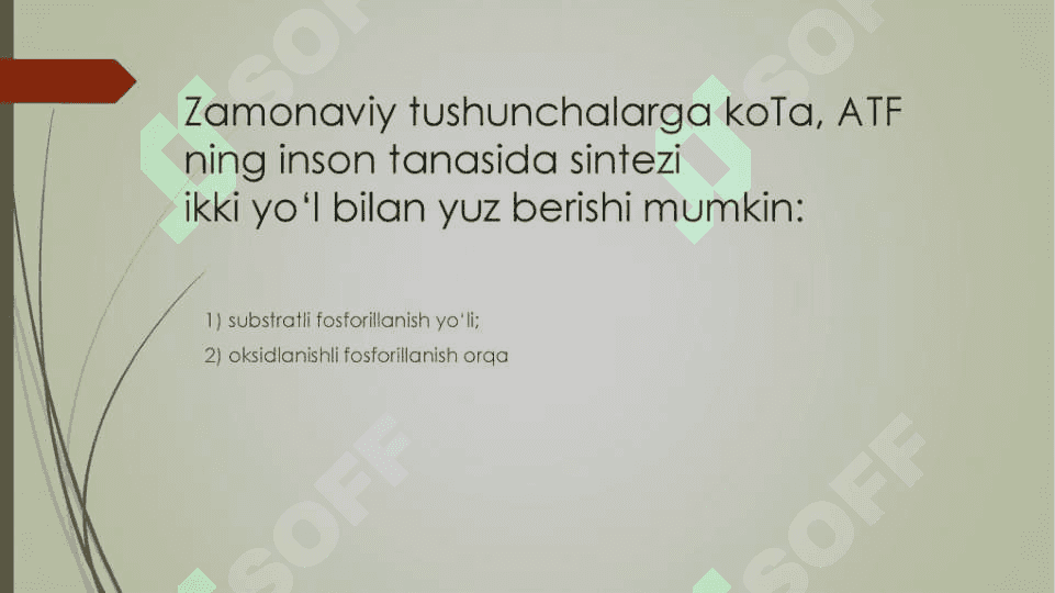 Energiya almashinuvining boshqarilishi 7