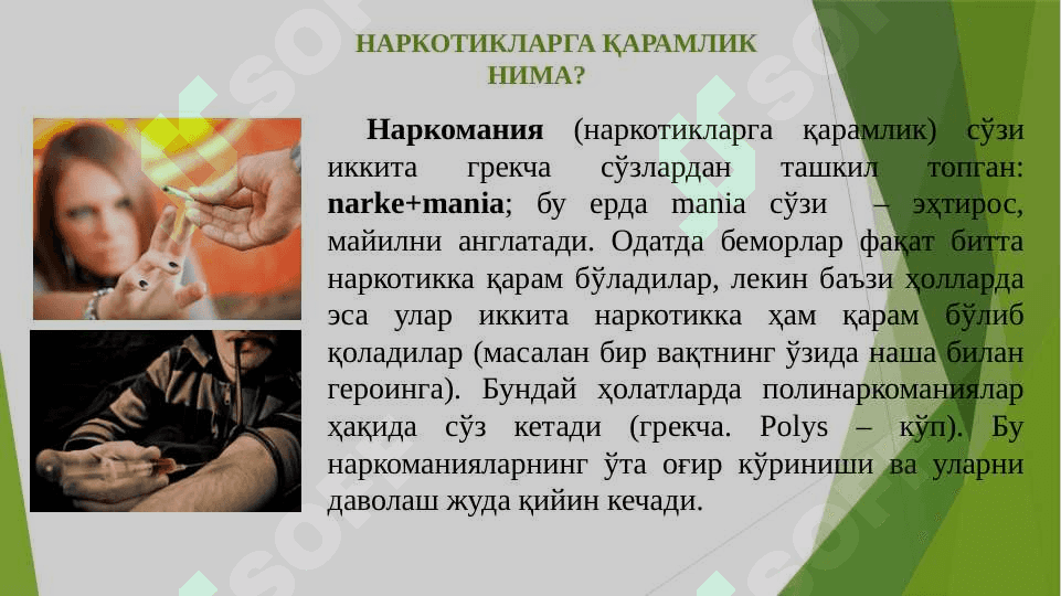 Гиёҳвандлик – умр заволи 6