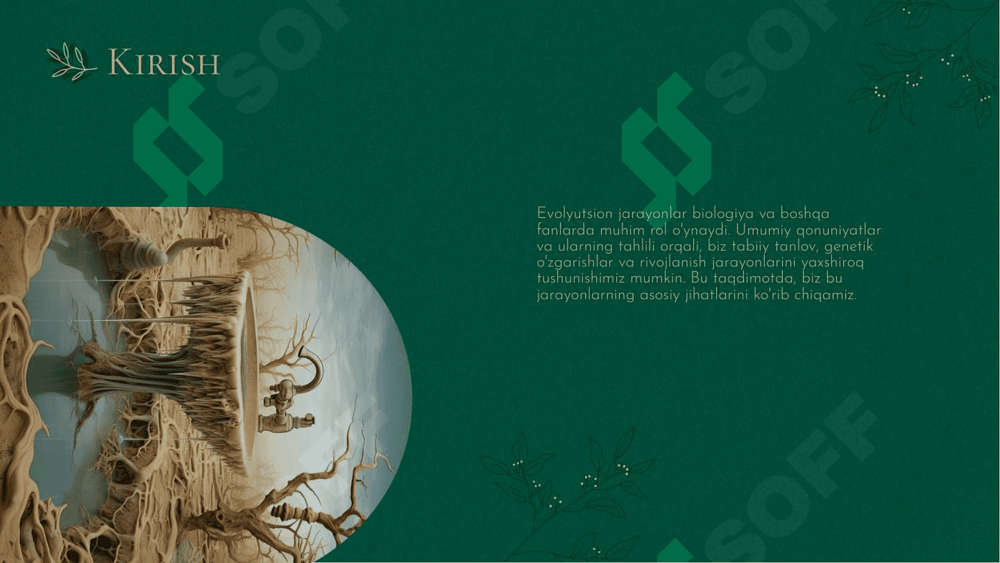 Evolyutsion Jarayonlar: Umumiy ļonuniyatlar va Ularning Tahlili 2