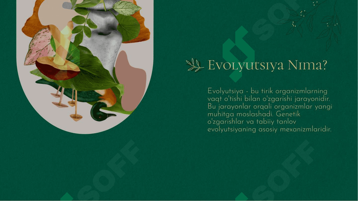 Evolyutsion Jarayonlar: Umumiy ļonuniyatlar va Ularning Tahlili 3