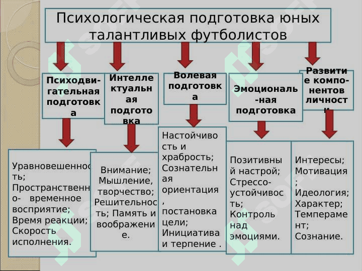 «Особенности психологической подготовки юных талантливых футболистов в ДЮФШ «Бунёдкор» » 4