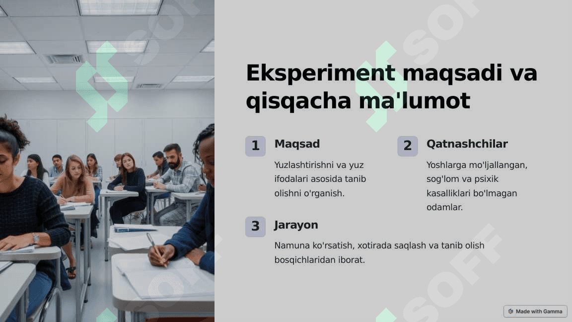 Yuzlashtirish va tanib olish uchun koʻrsatish eksperimenti 2