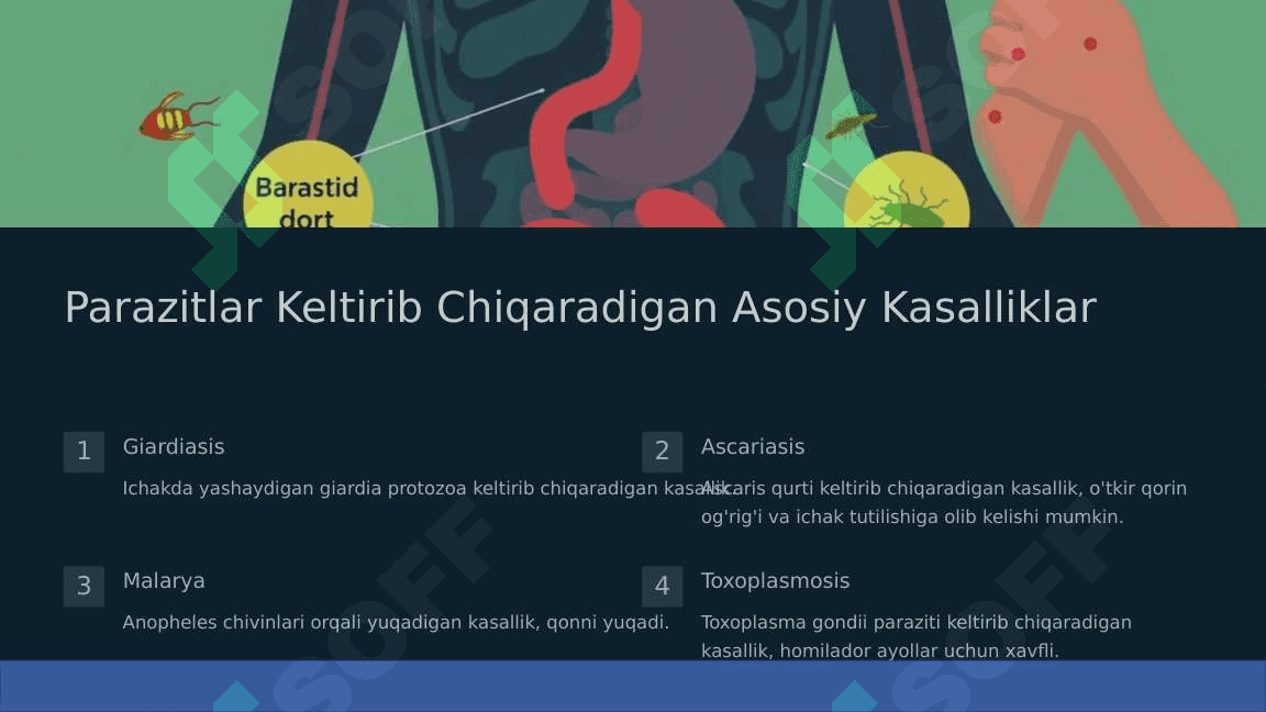 Parazitlar keltirib chiqaradigan kasaliklarni o'rganish hamda ularga qarshi kurash choralarini to'g'ri tashkil qilish 5