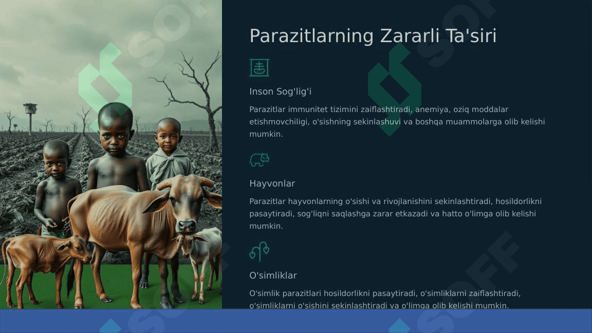 Parazitlar keltirib chiqaradigan kasaliklarni o'rganish hamda ularga qarshi kurash choralarini to'g'ri tashkil qilish 7