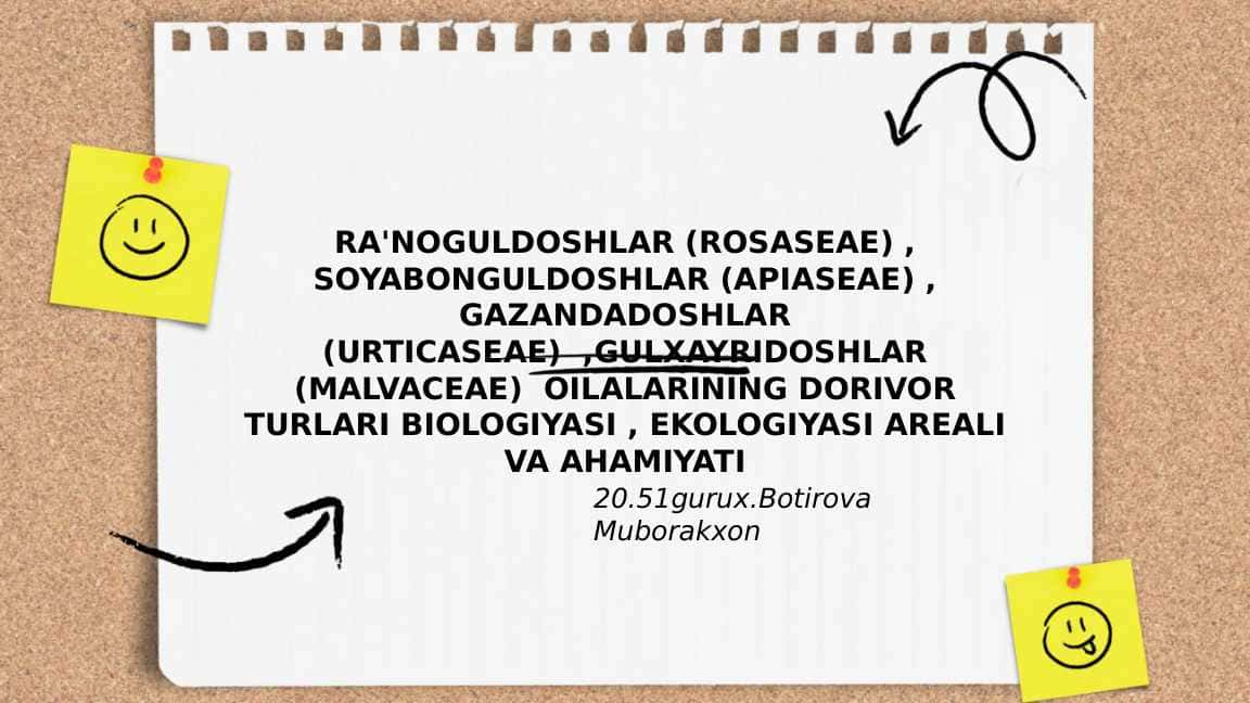 RA'NOGULDOSHLAR (ROSASEAE) , SOYABONGULDOSHLAR (APIASEAE) , GAZANDADOSHLAR (URTICASEAE)  ,GULXAYRIDOSHLAR (MALVACEAE)