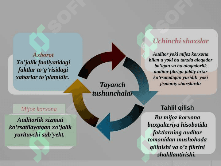 AUDITORLIK DALILLAR 6