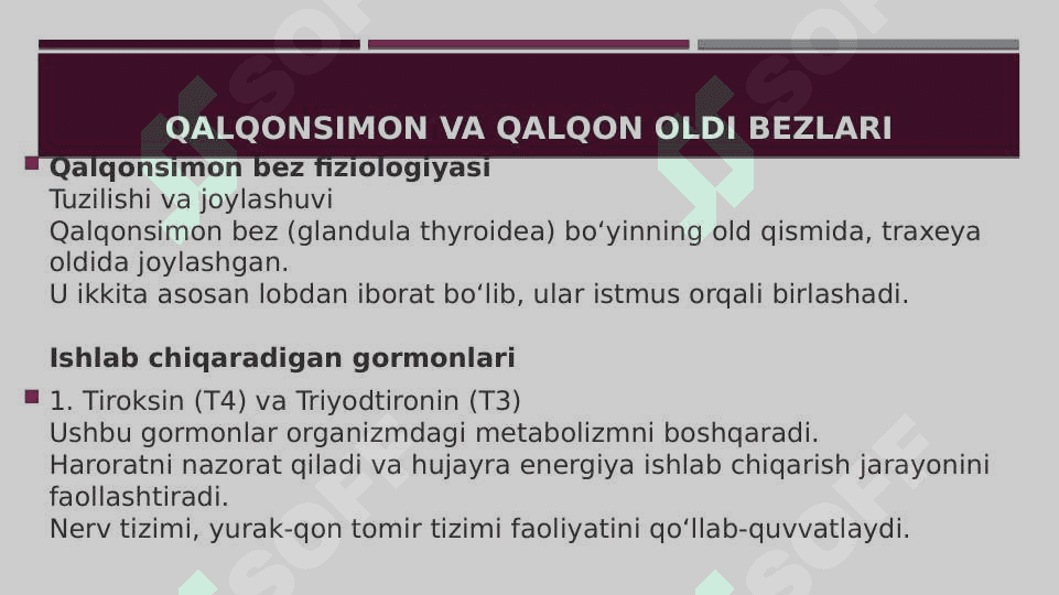 Qalqonsimon va qalqon oldi bezi. Buyrak usti bezi fiziologiyasi. Jinsiy garmonlar 2