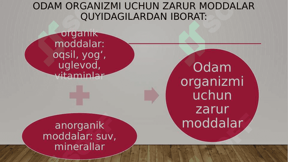 ODAMNING OVQAT HAZM QILISH SISTEMASI 2