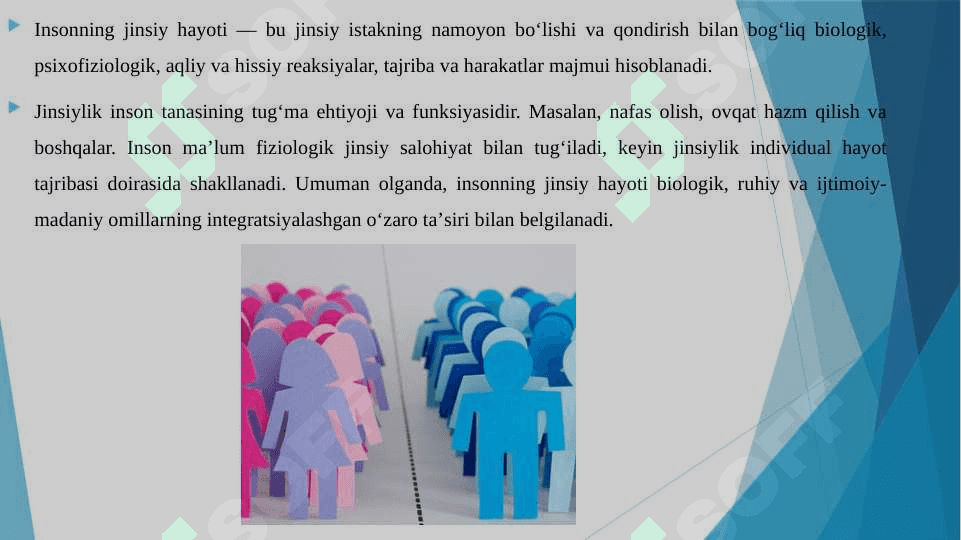 SHAXSNING JINSIY XULQ-ATVORI 3