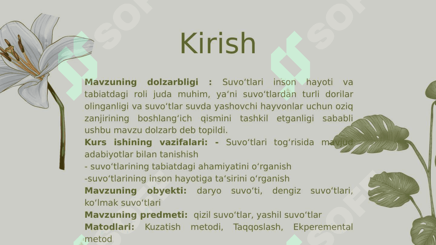 Suvo‘tlarning tabiat va inson hayotidagi o‘rni 3