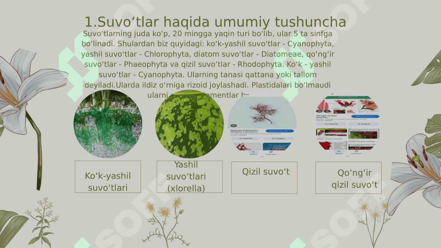 Suvo‘tlarning tabiat va inson hayotidagi o‘rni 4