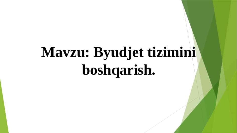 Budjet tizimini boshqarish 1