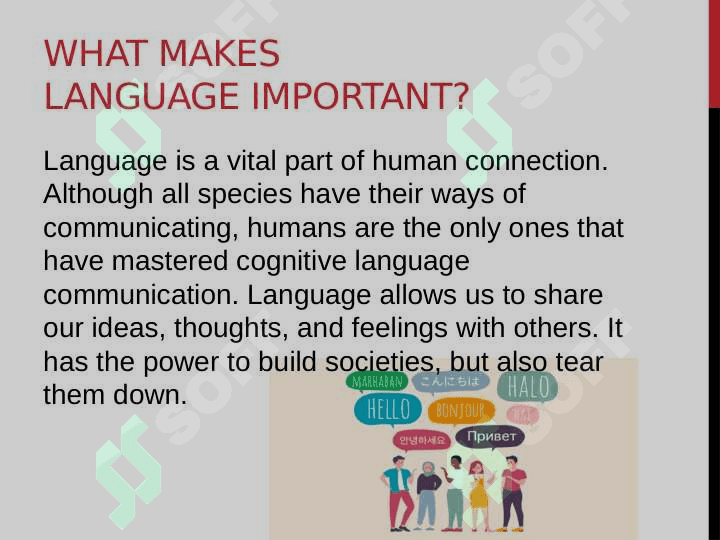 Language matters 4