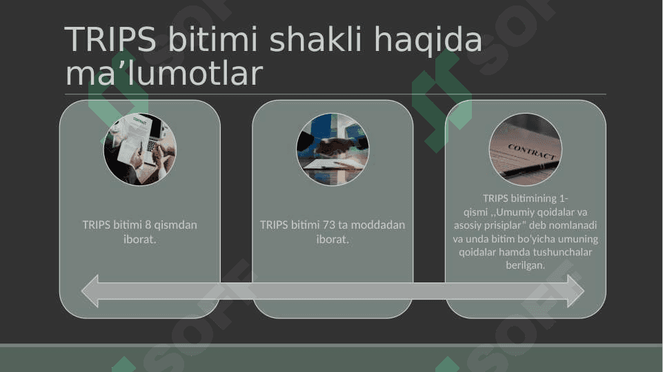 Trips agreement 3
