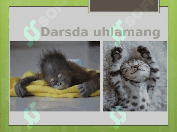 Ijtimoiy pedagogika rivojlanishining madaniy tarixiy asoslari 7