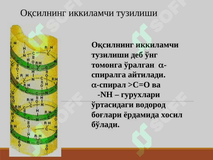 PEPTIDLAR VA OQSILLAR TUZILISHI VA KIMYOVIY XOSSALARI 5