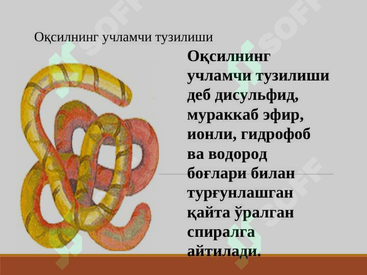 PEPTIDLAR VA OQSILLAR TUZILISHI VA KIMYOVIY XOSSALARI 7