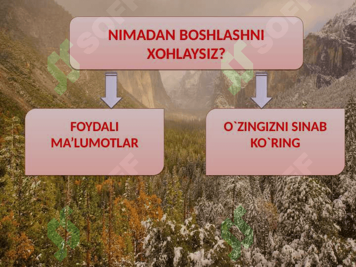 Aminokislota va oqsillar. 2