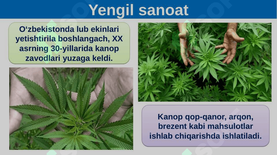 YENGIL SANOAT 8