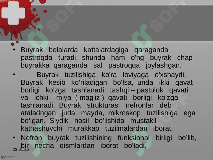 Ayiruv organlari 8