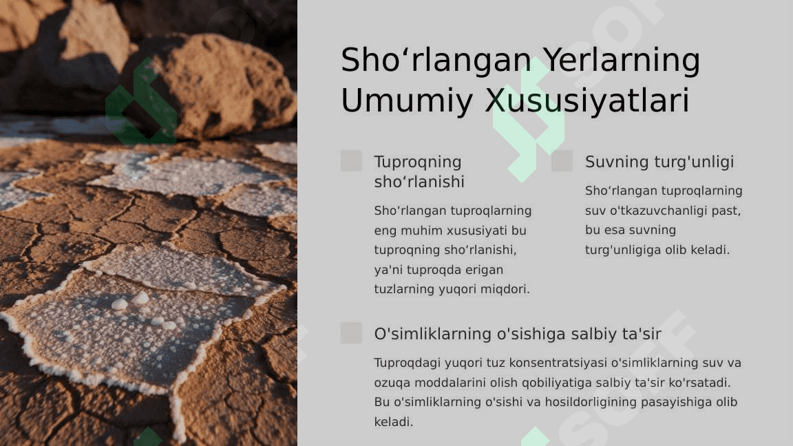 Sho‘rlangan Yerlarning Melioratsiyasi 3