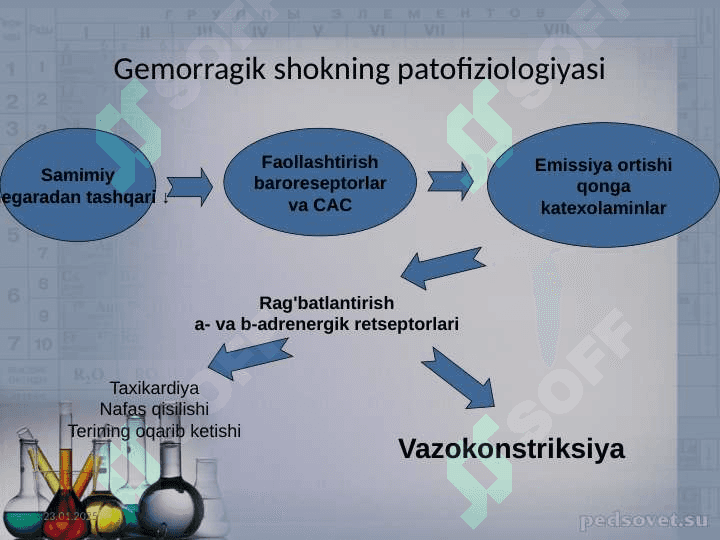 GEMORRAGIK SHOK 6