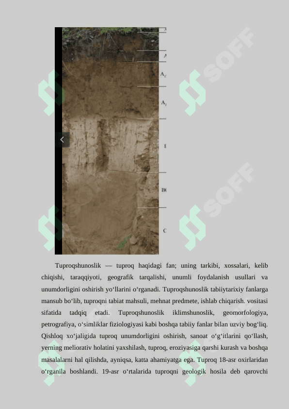 TUPROQ MIKROBIOMINI GENETIK TAHLIL QILISH VA QISHLOQ XÔJALIGIDA QÔLLASH 7