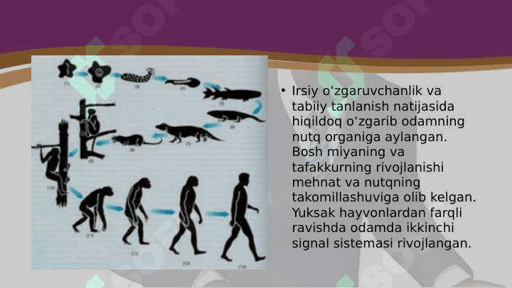 ODAM EVOLUTSIYASINI HARAKATLANTIRUVCHI KUCHLARI 8