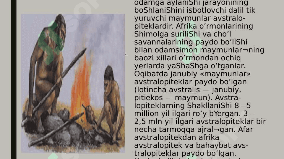 Odamning paydo bo’liShi. Odam evolyutsiyasining asosiy bosqichlari. 6