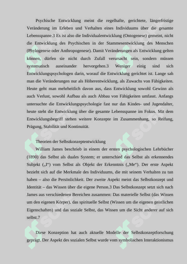 Die wissenschaftlich technise Entwicklung 4