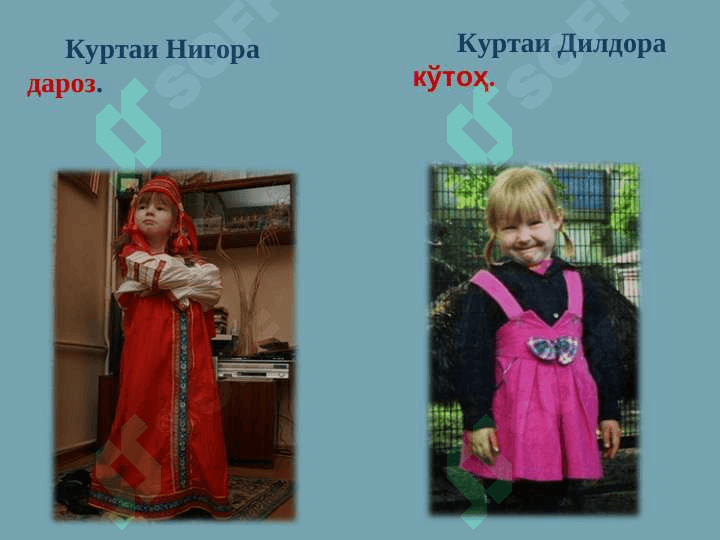 Антоним 5