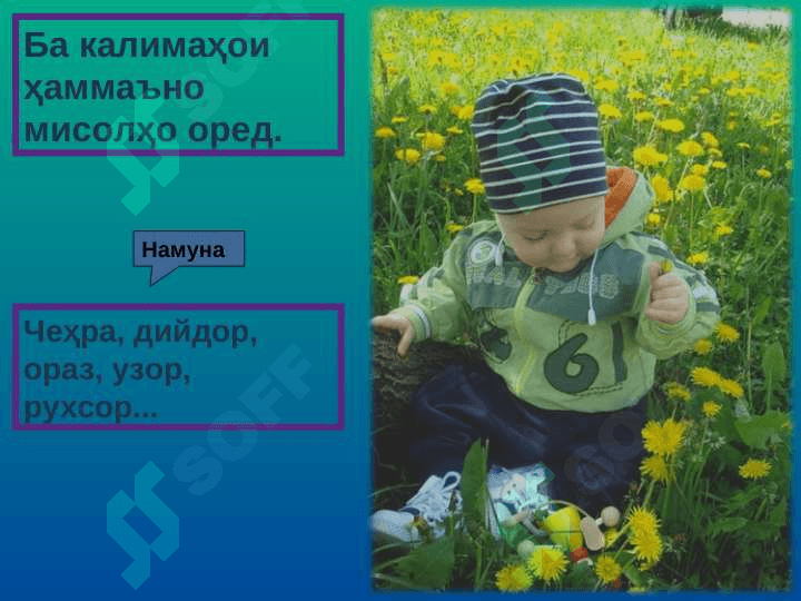 Синоним 5