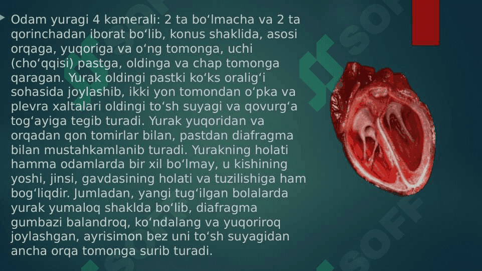 Yurak fiziologiyasi 3
