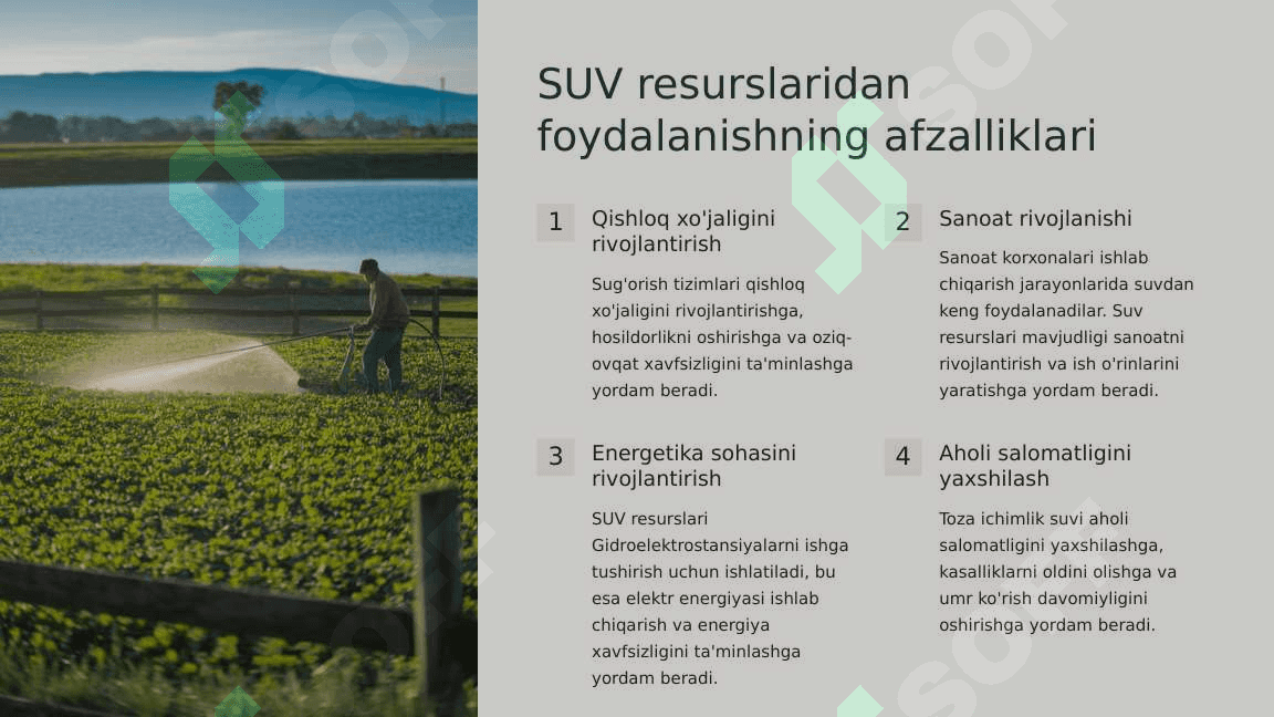 SUV omillarining ahamiyati va uning  funksional darajasi 3
