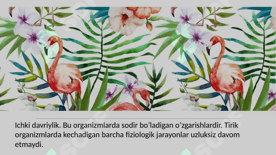 Biomaromlar va tirik organizmlarning xayotiy shakllari 5