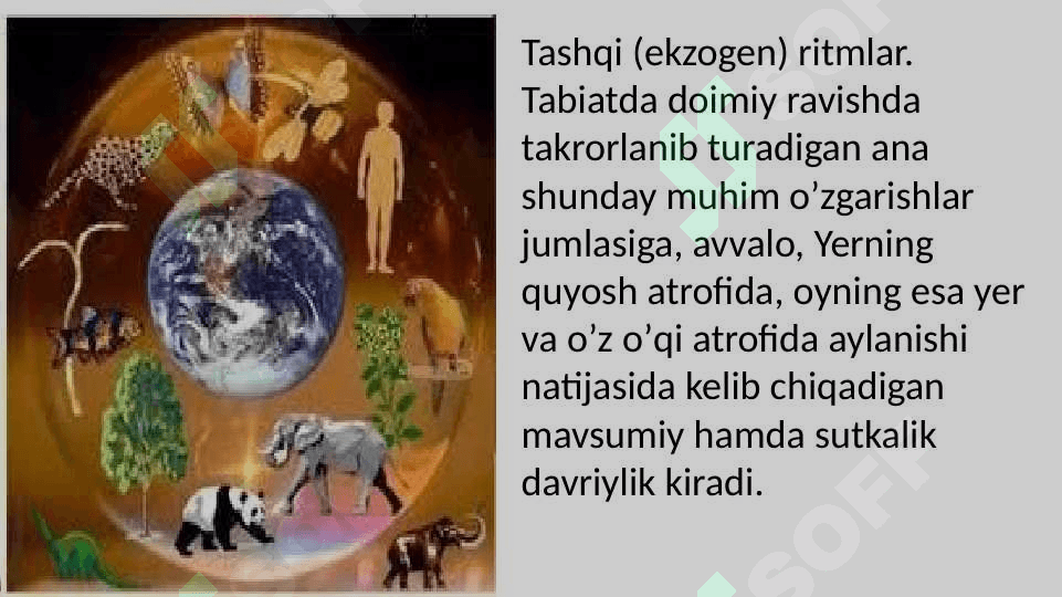 Biomaromlar va tirik organizmlarning xayotiy shakllari 6