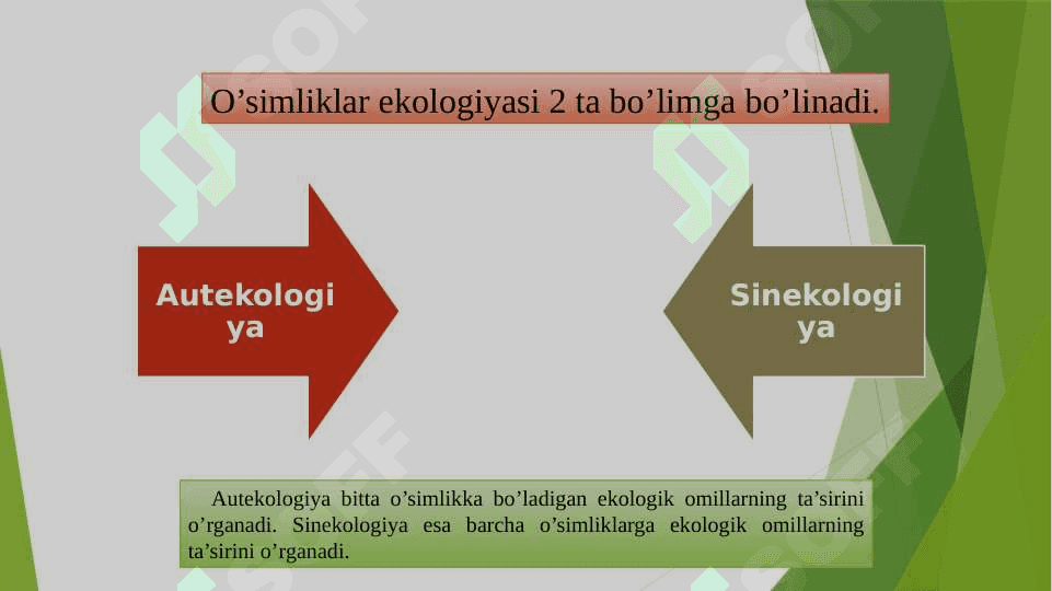 o’Simliklarning biosferadagi ahamiyati 3