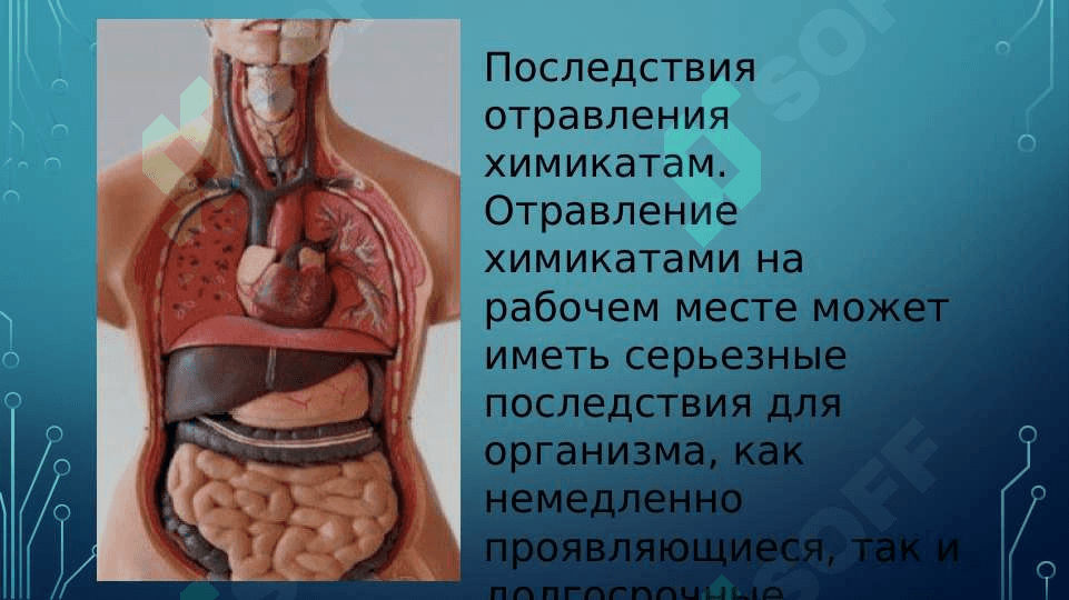 ВЛИЯНИЕ ХИМИЧЕСКИХ ВЕЩЕСТВ НА ЗДОРОВЬЕ НАСЕЛЕНИЯ. ПУТИ ПОСТУПЛЕНИЯ ХИМИЧЕСКИХ ВЕЩЕСТВ В ОРГАНИЗМ 4