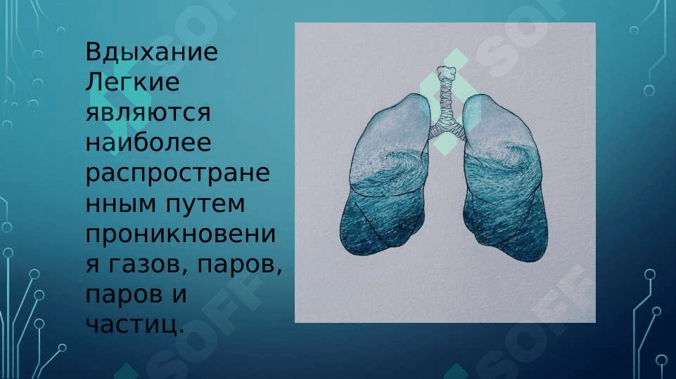 ВЛИЯНИЕ ХИМИЧЕСКИХ ВЕЩЕСТВ НА ЗДОРОВЬЕ НАСЕЛЕНИЯ. ПУТИ ПОСТУПЛЕНИЯ ХИМИЧЕСКИХ ВЕЩЕСТВ В ОРГАНИЗМ 7