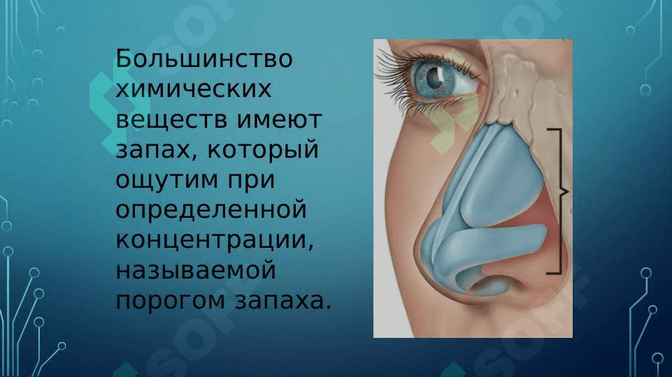 ВЛИЯНИЕ ХИМИЧЕСКИХ ВЕЩЕСТВ НА ЗДОРОВЬЕ НАСЕЛЕНИЯ. ПУТИ ПОСТУПЛЕНИЯ ХИМИЧЕСКИХ ВЕЩЕСТВ В ОРГАНИЗМ 8