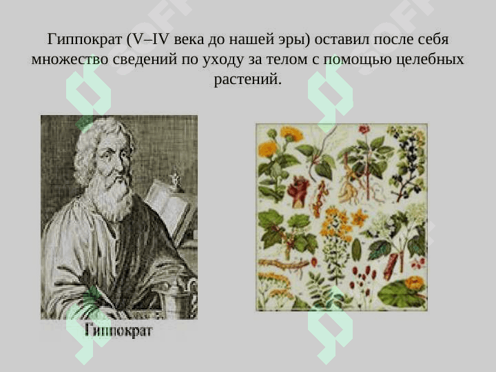 Косметология 8