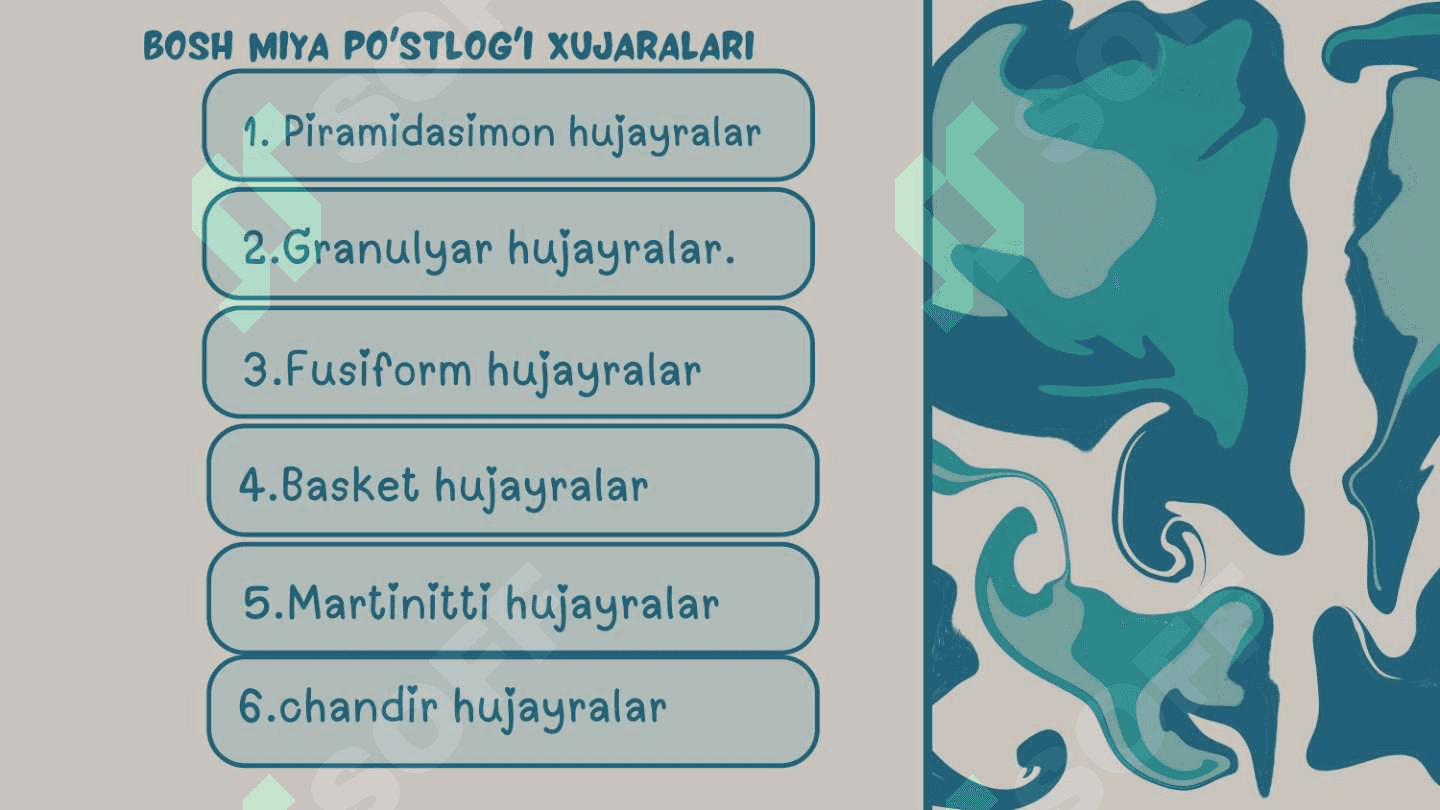 Bosh miya gistalogiyasi 3