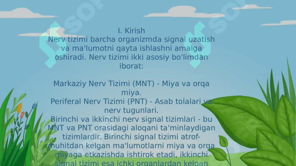 Psixofiziologiya birinchi va ikkinchi nerv tizimi. 4