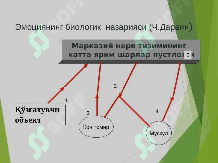 Эмоция назариялари 6
