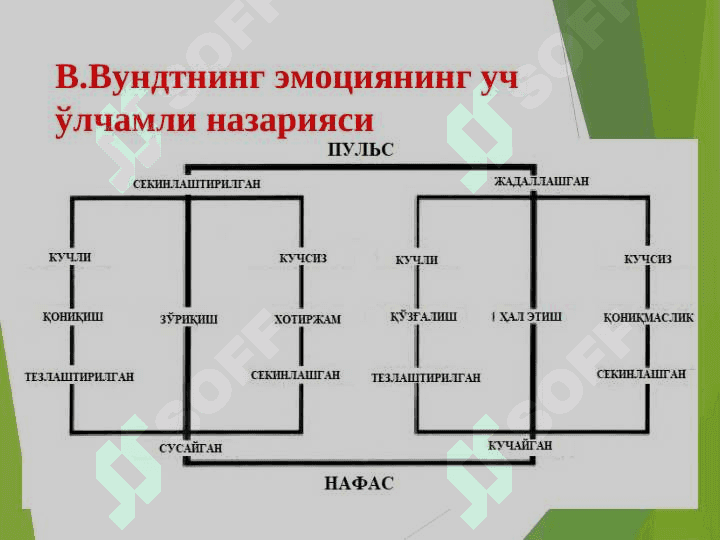 Эмоция назариялари 8