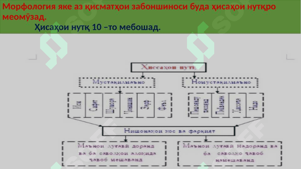 Ҳиссаҳои номии нутқ 2